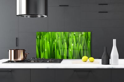 Kitchen Splashback Grass nature green