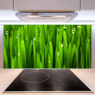 Kitchen Splashback Grass nature green