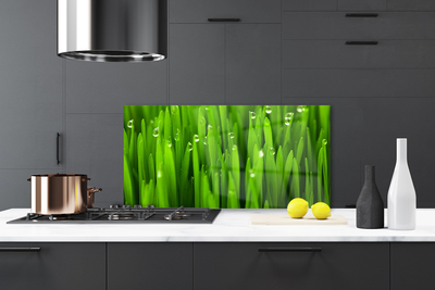 Kitchen Splashback Grass nature green