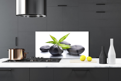 Kitchen Splashback Stones leaves art black green