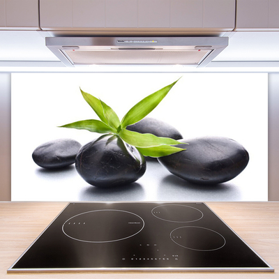 Kitchen Splashback Stones leaves art black green