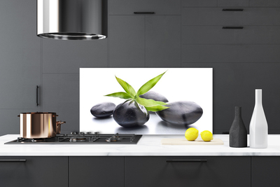 Kitchen Splashback Stones leaves art black green