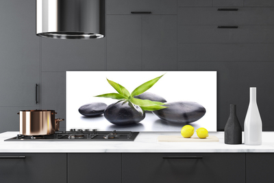 Kitchen Splashback Stones leaves art black green