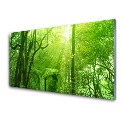 Kitchen Splashback Trees nature brown green