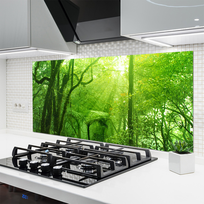 Kitchen Splashback Trees nature brown green