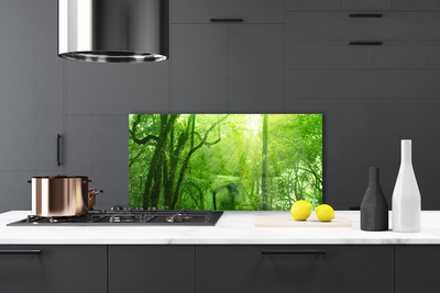 Kitchen Splashback Trees nature brown green