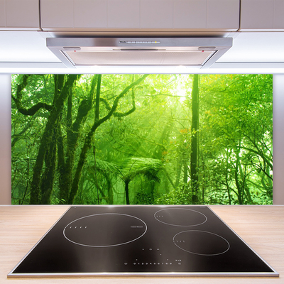 Kitchen Splashback Trees nature brown green