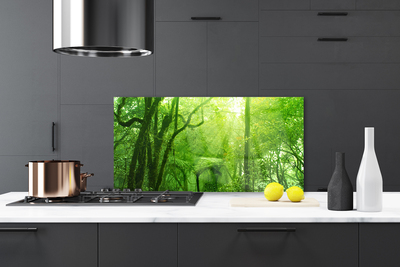 Kitchen Splashback Trees nature brown green