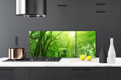 Kitchen Splashback Trees nature brown green