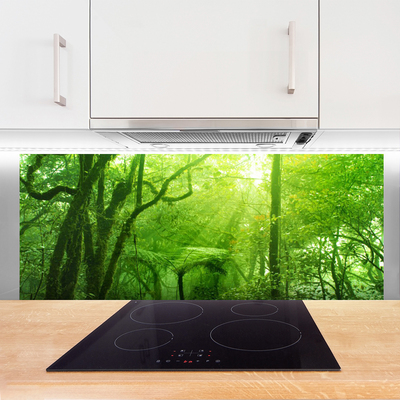 Kitchen Splashback Trees nature brown green