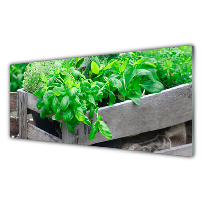 Kitchen Splashback Leaves floral green