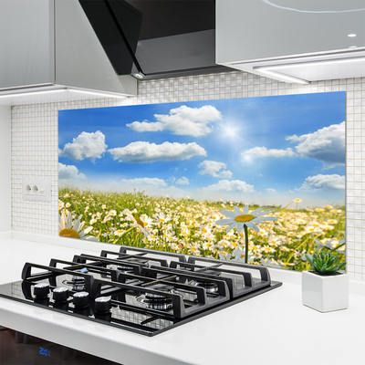 Kitchen Splashback Meadow daisies nature green blue white