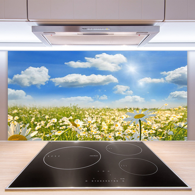 Kitchen Splashback Meadow daisies nature green blue white