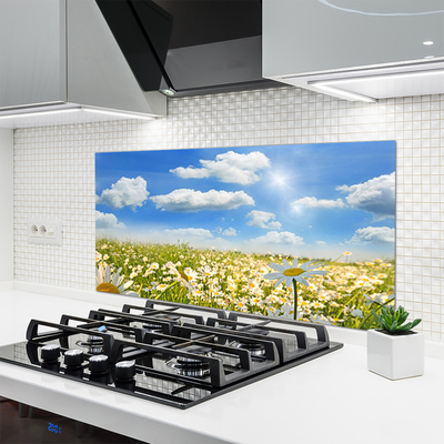 Kitchen Splashback Meadow daisies nature green blue white