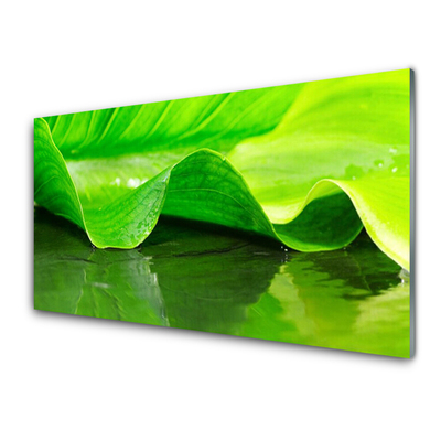 Kitchen Splashback Leaf floral green