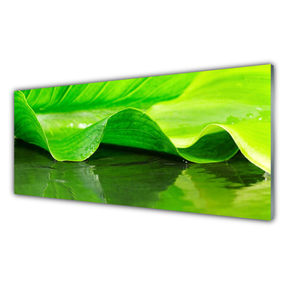 Kitchen Splashback Leaf floral green