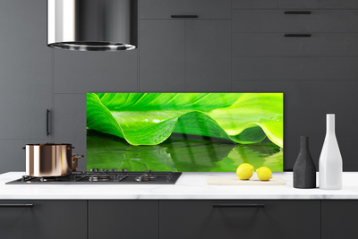 Kitchen Splashback Leaf floral green