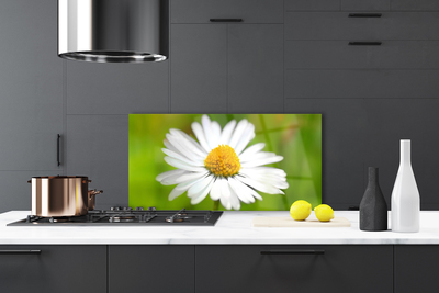 Kitchen Splashback Daisy floral yellow white