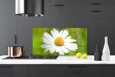 Kitchen Splashback Daisy floral yellow white