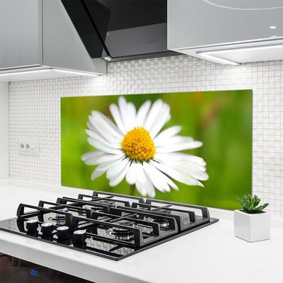 Kitchen Splashback Daisy floral yellow white