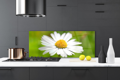 Kitchen Splashback Daisy floral yellow white