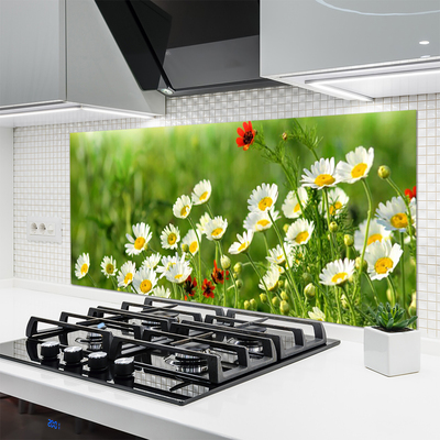 Kitchen Splashback Daisy nature yellow white