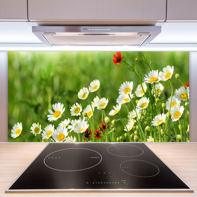 Kitchen Splashback Daisy nature yellow white