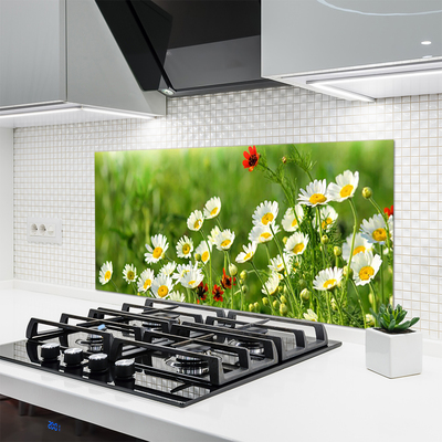 Kitchen Splashback Daisy nature yellow white