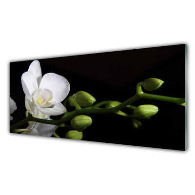 Kitchen Splashback Flower floral white