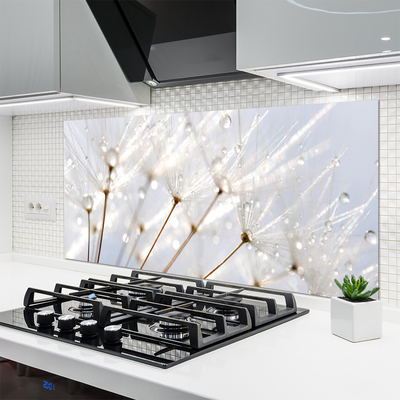 Kitchen Splashback Dandelion floral white