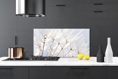 Kitchen Splashback Dandelion floral white