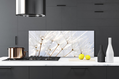 Kitchen Splashback Dandelion floral white