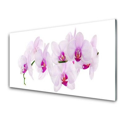 Kitchen Splashback Flowers floral pink