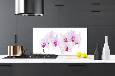 Kitchen Splashback Flowers floral pink