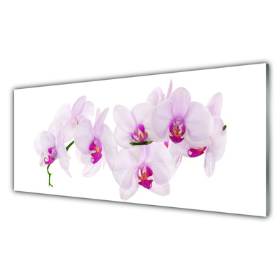 Kitchen Splashback Flowers floral pink