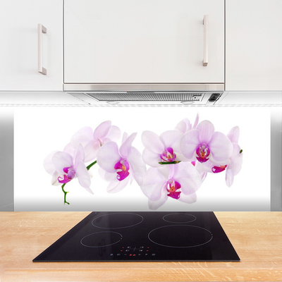 Kitchen Splashback Flowers floral pink