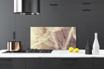 Kitchen Splashback Dandelion floral grey