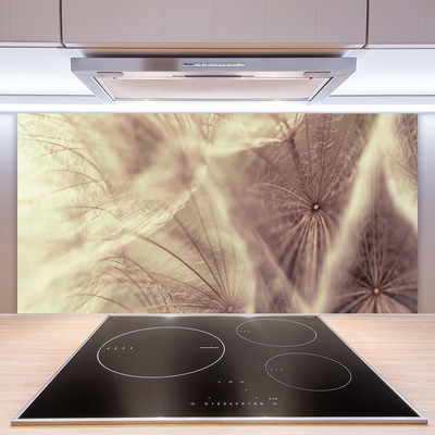 Kitchen Splashback Dandelion floral grey