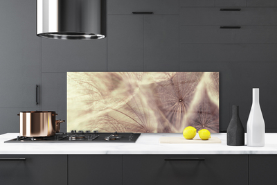 Kitchen Splashback Dandelion floral grey