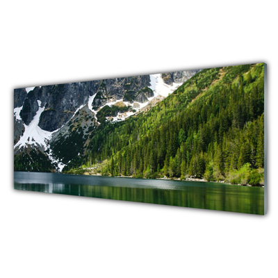 Kitchen Splashback Lake forest mountains landscape grey white green