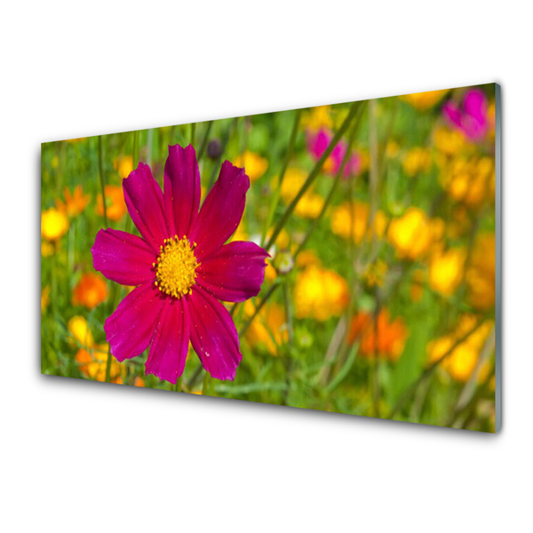 Kitchen Splashback Flower floral yellow red