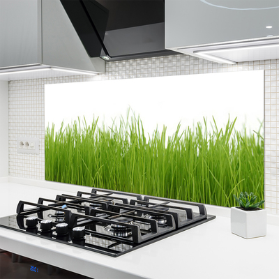 Kitchen Splashback Grass nature green