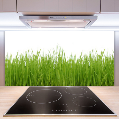 Kitchen Splashback Grass nature green