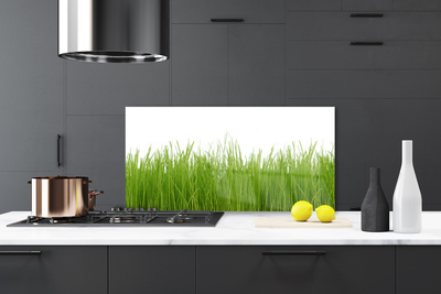 Kitchen Splashback Grass nature green