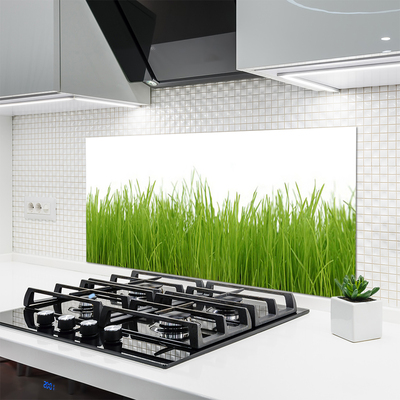 Kitchen Splashback Grass nature green