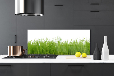 Kitchen Splashback Grass nature green