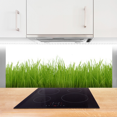 Kitchen Splashback Grass nature green