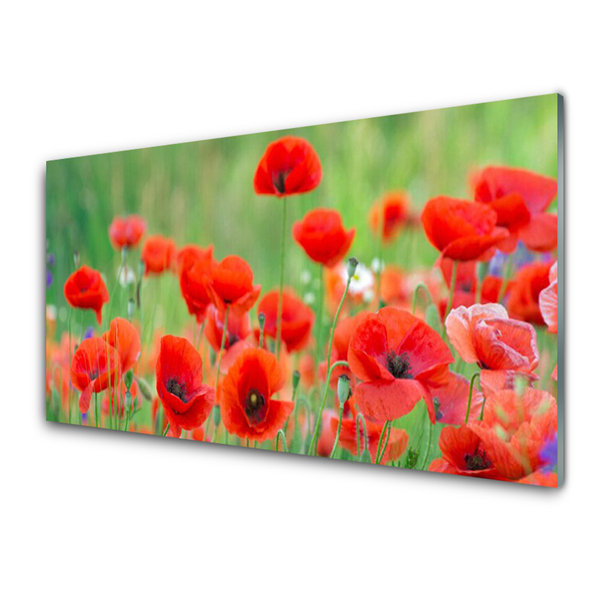 Kitchen Splashback Poppies floral red black