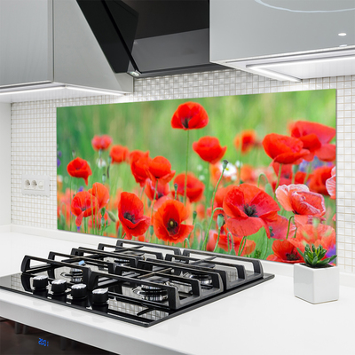 Kitchen Splashback Poppies floral red black