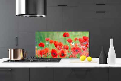 Kitchen Splashback Poppies floral red black